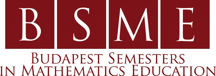 Budapest Semesters in Mathematics Education