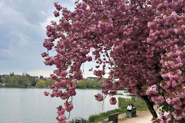 Tavaszi Medve Szabadtéri Csapatverseny 2026 - Szombathely