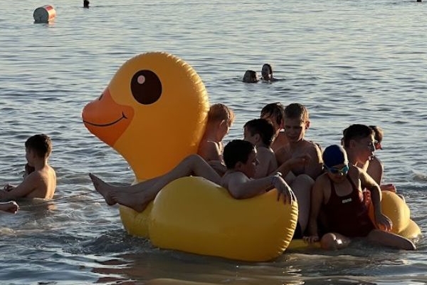 Medve Matek Nyári Élménytábor 2026 - Pálköve (1. turnus)